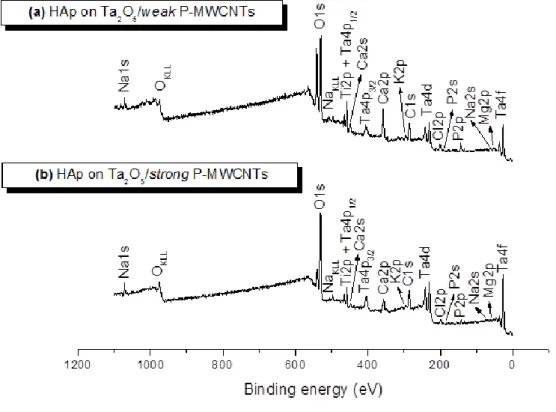 Fig. 8. XPS survey spectra of hydroxyapatite films on Ti substrates covered by composite  layers of Ta 2 O 5  and (a) weak P-MWCNTs and (b) strong P-MWCNTs