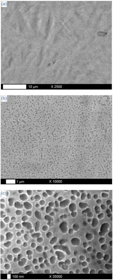 Fig. 2a-c. SEM pictures of Ta layers galvanostatically electrodeposited on Nitinol plates at - -100 µA/cm², 25°C and during 1 h
