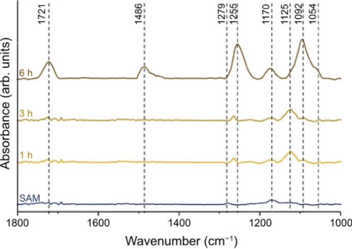 Figure 9 shows the PM-IRRAS spectra. For PMPC- PMPC-NiTi coatings, absorption bands in agreement with the structure of the molecules appear at 1721, 1486, 1255–
