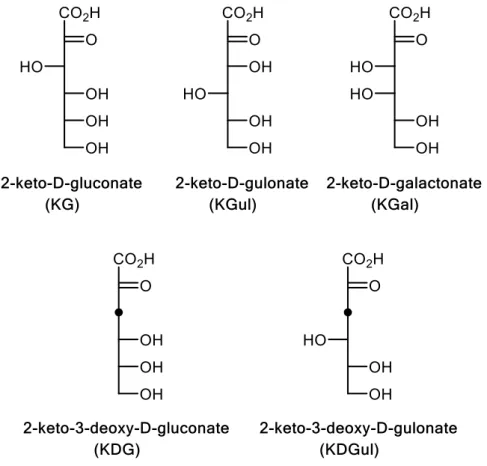 Figure 4. 2-keto-carboxylic acid sugars tested as KGUK Cnec  substrate. 