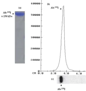 Fig. 4 Temperature-modulated (——) and derivative (dW/dT, ----) plots of PPAA (a), AuNPs-PPAA (b), Ab (c) and AuNPs-PPAA-Ab (d), recorded under N 2 atmosphere.