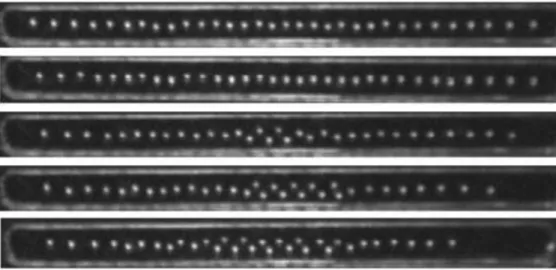 FIG. 2. Example of a zigzag transition in an experimental macroscopic system: 32 metallic beads in electrostatic interaction and confined in a finite-sized channel (L = 57 mm) at an effective temperature T = 9 × 10 11 K adopt a zigzag configuration as the 