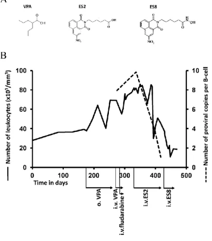 Figure  6.  Treatment  with  newly  developed  HDAC  inhibitors:  (A)  Chemical  formula  of  VPA and 2 newly developed HDAC inhibitors; (B) Sheep #4270 was successively treated  with VPA, Fludarabine, ES2 and ES8 (two newly developed HDAC inhibitors)