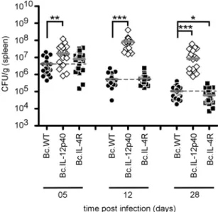 FIG 5 Flow cytometry analysis of IFN- ␥ -producing spleen cells following B. melitensis infection