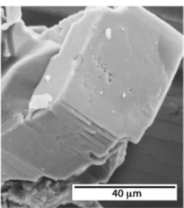 Figure 1. Scanning electron microscopy (SEM) photograph of C 60 ·2CBr 2 H 2  crystals 
