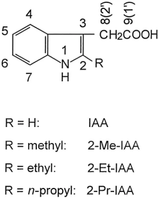 Figure 1. Structural formulae of the auxins studied indicating the numbering of selected positions