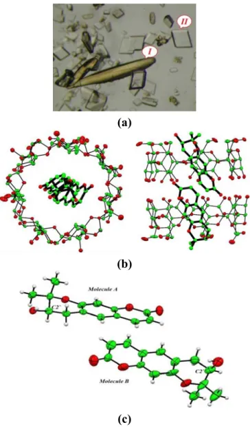 Figure 4.  (a) Morphology of crystals of aegelinol-β-cyclodextrin inclusion complex   (1-BCD)