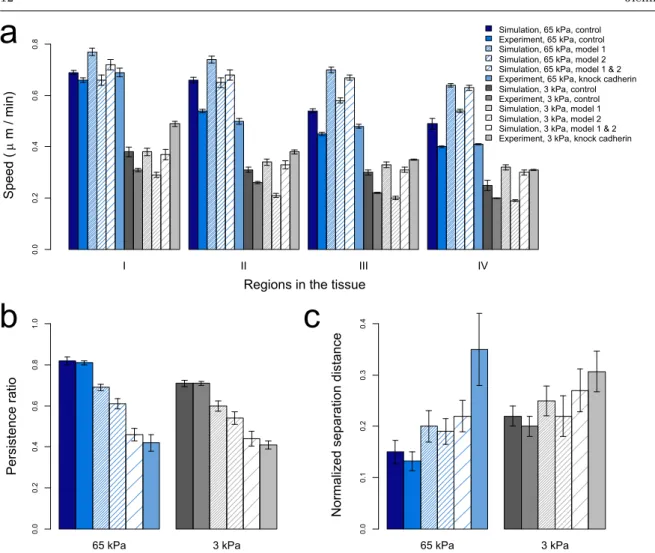 Fig. 6 Measurements to analyze the collective cell migration upon disrupted intercellular adhesion