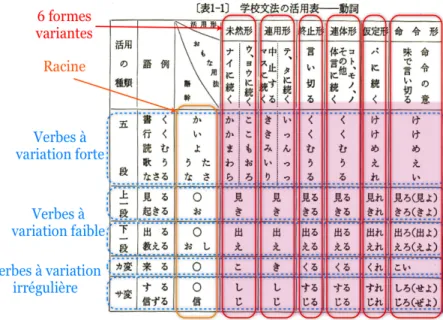 Figure 1 : Variation des verbes dans la GS 