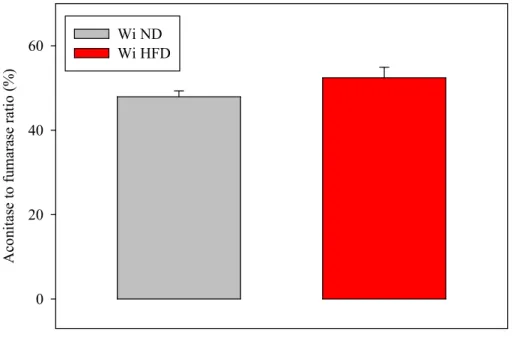 Figure 6. Effects of the high fat diet on the aconitase to fumarase ratio of heart collected in  the in vivo situation