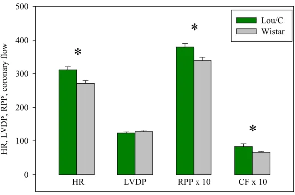 Figure 9. Cardiac function in the anti-obese Lou/C rat. In this experiment, both types of  animals were fed the normolipidic diet