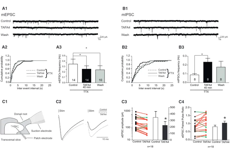 Figure 2. Presynaptic Action of TAFA4 on Spontaneous and Evoked Synaptic Activity