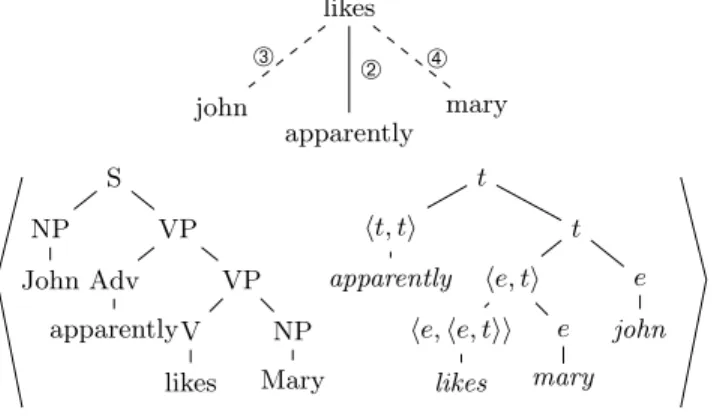 Fig. 3. Derivation tree and derived tree pair for John apparently likes Mary (reproduced from [6] )