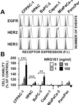 Figure 2: Effect of pertuzumab on HER3-positive or -negative pancreatic cancer cell lines