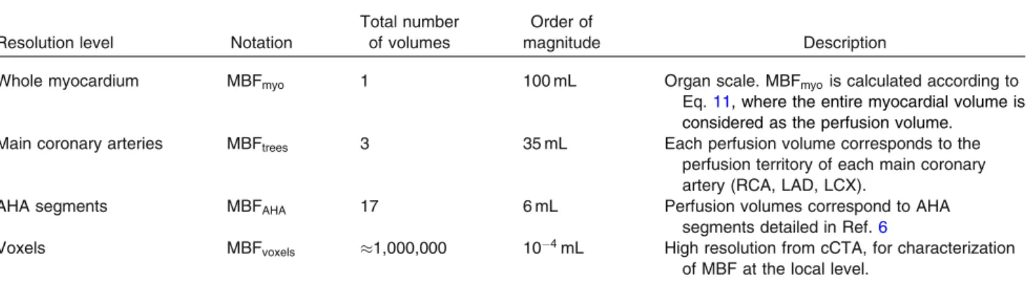 TABLE 2. Different levels of spatial resolution considered for MBF calculation.