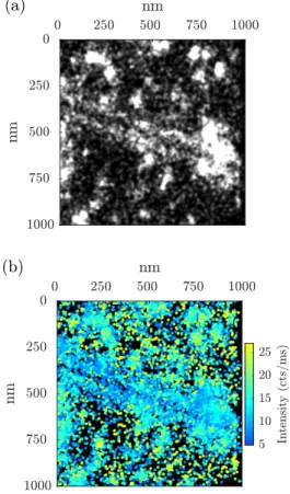 FIG. S3: (a) Density and (b) intensity maps reconstructed from the 14,546 molecules detected by the EM-CCD camera.