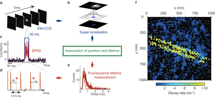 FIG. 1: Super-resolved LDOS mapping of a silver nanowire. (a) The EM-CCD camera acquires 31 frames per second, with an exposure time of 30 ms per frame and a field of view of tens of microns