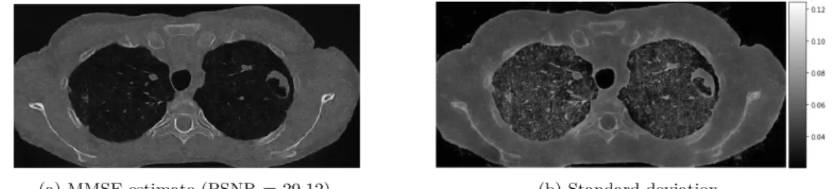 Figure 15a shows the MMSE solution computed by PnP-ULA. Visually, this restoration seems accurate, and this is confirmed by the PSNR score