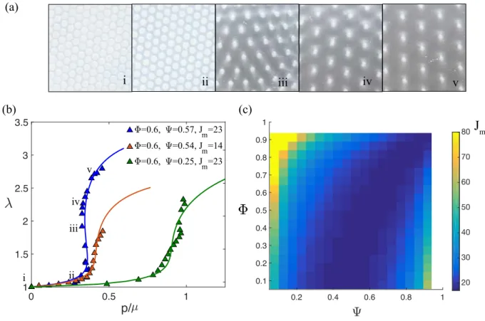 FIG. 3: (a) Series of pictures of a portion of a plate for various imposed volumes. (b) Deformation response of the plate as a function of the dimensionless applied pressure p/µ for various values of Ψ, Φ and J m 