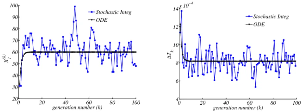 Figure 5. Stochastic vs ODE SRM protocell (3). Case of one GMM, left panel the amount of GMM at the beginning of each division cycle, right panel the division time as a function of the number of elapsed divisions
