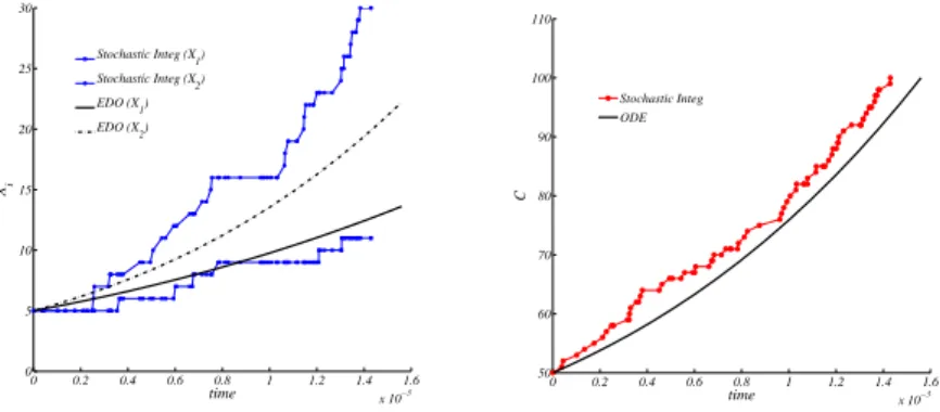 Figure 10. Stochastic vs ODE SRM protocell (3). Case of two GMMs, left panel the time evolution of the amount of GMM during a division cycle, right panel the time evolution of the amount of C molecules