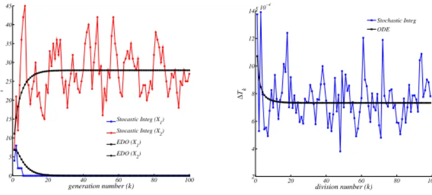 Figure 11. Stochastic vs ODE SRM protocell (3). Case of two GMMs, left panel the amount of GMM at the beginning of each division cycle, right panel the division time as a function of the number of elapsed divisions