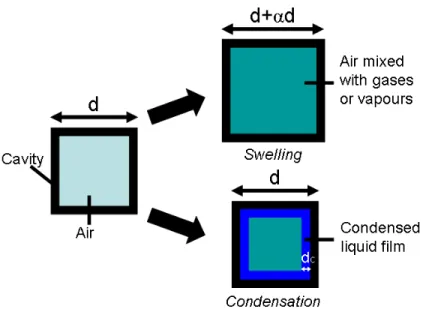 Figure 5. Phenomena explaining possibly the colour modication of buttery wings when they are exposed to dierent air compositions