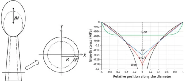 Fig. 1 Case of a vertical and straight stem with circular and homogeneous cross section, loaded by its own weight