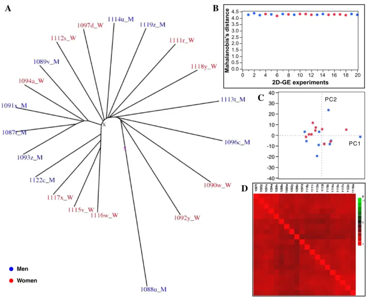 Fig. 2 – Post 2D-GE quality assessment. (A) Dispersion tree of the twenty 2D-GE experiments