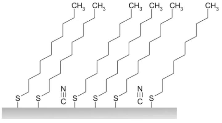 Figure 4: Mechanism proposed for DTCN assembly on Pt(111). 