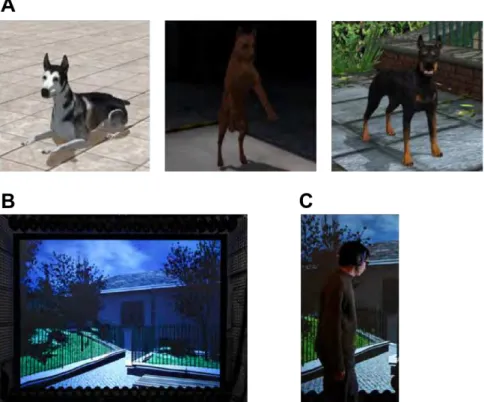 Figure 2. A. The Doberman dog model with three different textures (malamut, minpin, and Doberman) and in three  different postures (lying, jumping, and standing)