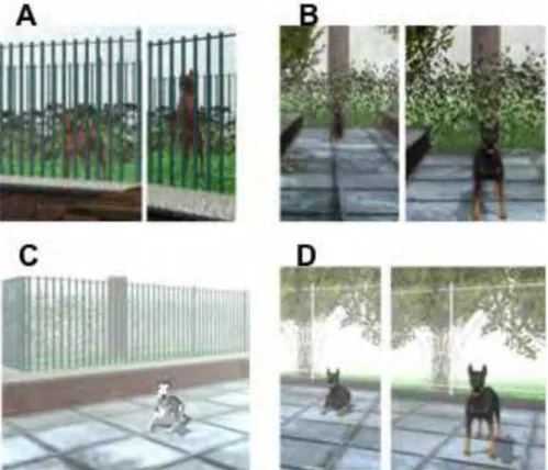 Figure 3. A. The dog is brown. It stands behind fences. It jumps and barks when the participant approaches