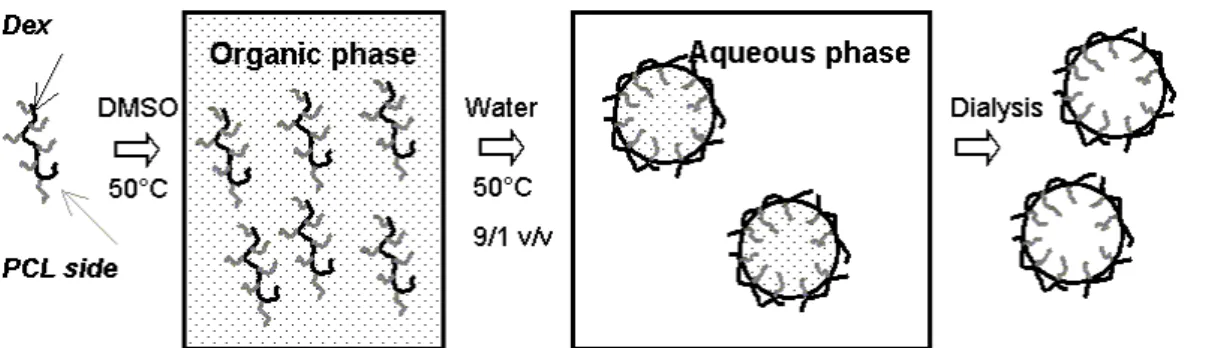 Fig. 2. Illustration of the nanoprecipitation technique applied to dextran-g-poly(ε- dextran-g-poly(ε-caprolactone) copolymers  0100200300400 0.00 0.02 0.04 0.06 0.08 0.10 0.12 R (v/v)d (nm)