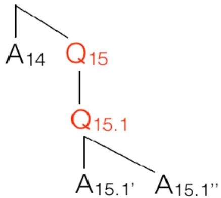 Figure 3. Question under Discussion with two partial answers 