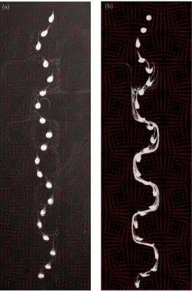 Figure 4. Typical (a) experimental and (b) numerical chronophotographies of a cloud for case A1b