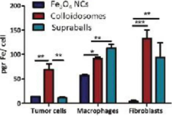 Figure 7. Iron quantification measured by ICP-AES in tumor cells (A431 cell line), macrophages (RAW 264.7 cell line) and fibroblasts  (hTERT-HSC immortalized line) after 24 h exposition to Fe 3 O 4  NCs colloidosomes or supraballs at [Fe] = 28 μg mL −1 