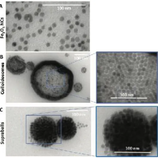 Figure 1. CryoTEM images of A) Fe 3 O 4  NCs, B) colloidosomes, and C) supraballs. 