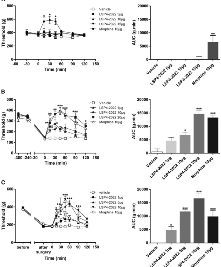 Figure 9. Pharmacological activation of spinal mGlu4 receptors does not modify mechanical sensitivity of naive rats but reduces mechanical hypersensitivity induced by inflammation or neuropathy