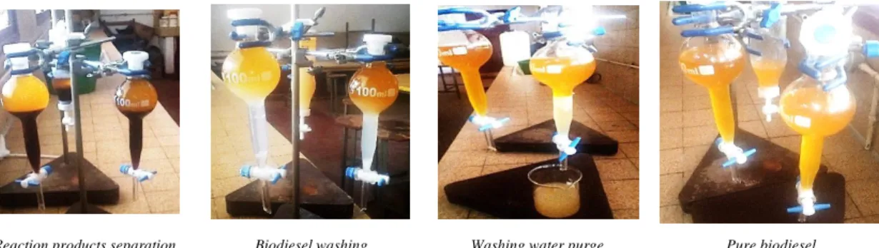 Figure 2. Transesterification reaction principle [12].