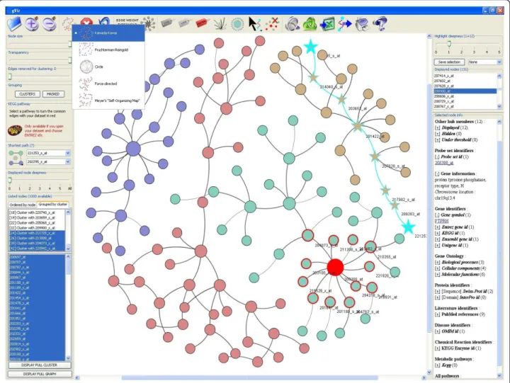 Figure 1 Screenshot of the general interface of gViz. This is the interface of a typical analysis in gViz