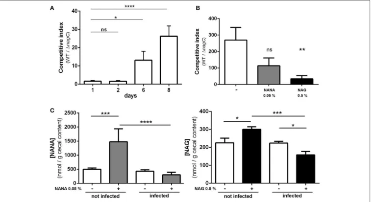 FIGURE 4 | The 1 nagC mutant is outcompeted by the wild type strain during mice infection