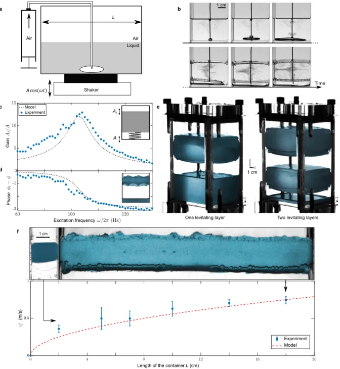 Figure 1 Levitating liquid layer stabilized by Kapitza effect. a, Experimental setup composed  of a Plexiglas container of various sizes (up to 20 cm in width) attached on a vertically 