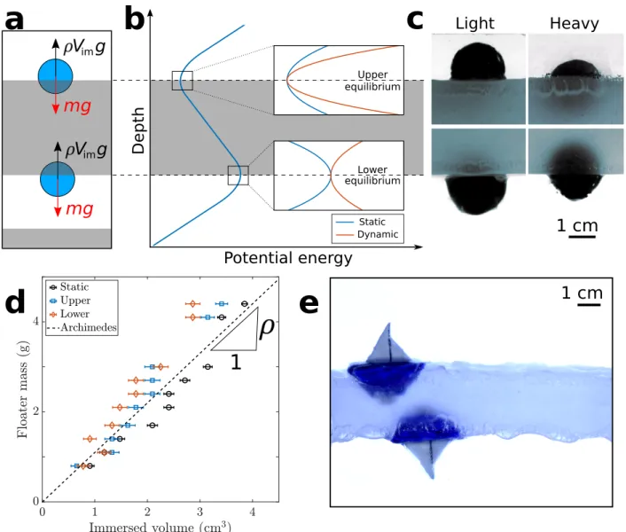 Figure 2 Archimedes’ principle over and under a levitating liquid layer. a, Schematics of the  force balance at the two opposing interfaces with the buoyant force cancelling the weight of 