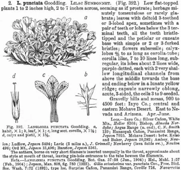 Fig. 4. Example of Jepson’s Flora of California (from http://ucjeps.berkeley. 