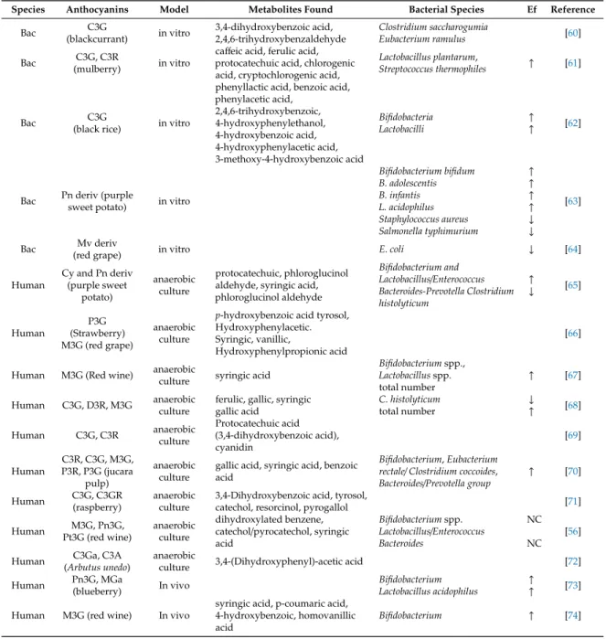 Table 3. Microbial metabolites of anthocyanins and bacteria regulated by anthocyanins.