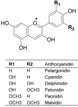 Figure 1. Anthocyanidin structure.