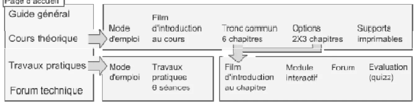 Figure 1 : Structure générale du cours 