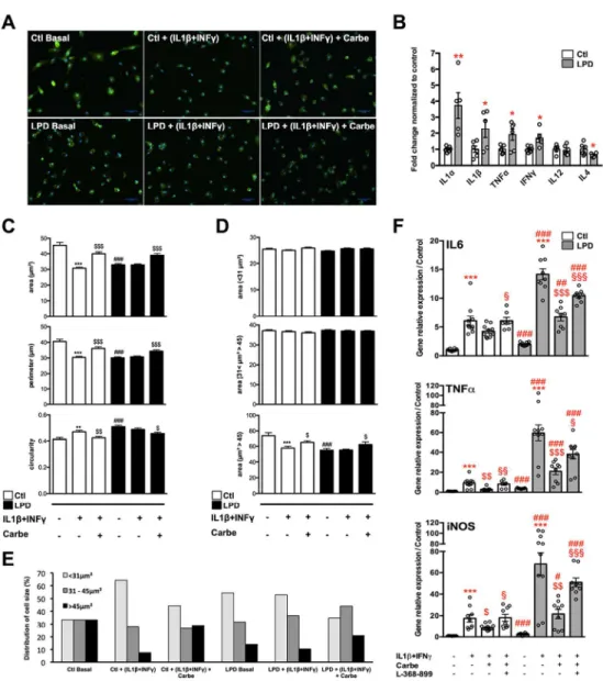 Figure 3: In vitro effects of carbetocin and OXTR antagonist in primary microglial cultured cells sorted from  control and LPD brains with and without pro-inflammatory stimulation