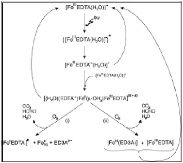 Figure B-4 Mechanistic pathways of the secondary thermal reactions proceeding in deoxygenated 