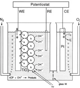 Figure B-15 Schematic Diagram of the Two-Compartments Cell Employed in the 